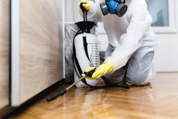 Best Bed Bug Extermination  in Mount Pleasant, WI