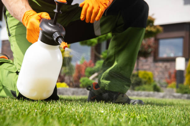 Best Wasp Removal Services  in Mount Pleasant, WI