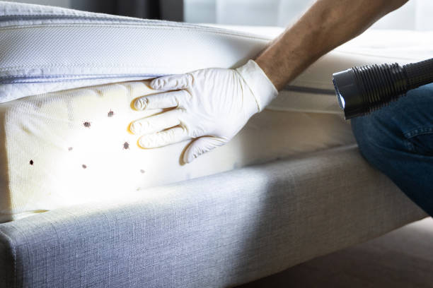 Best Best Pest Control Companies  in Mount Pleasant, WI