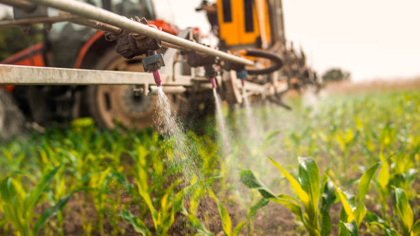 Best Mosquito Control Services  in Mount Pleasant, WI